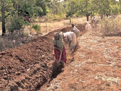 Digging Trenches in Kyuso